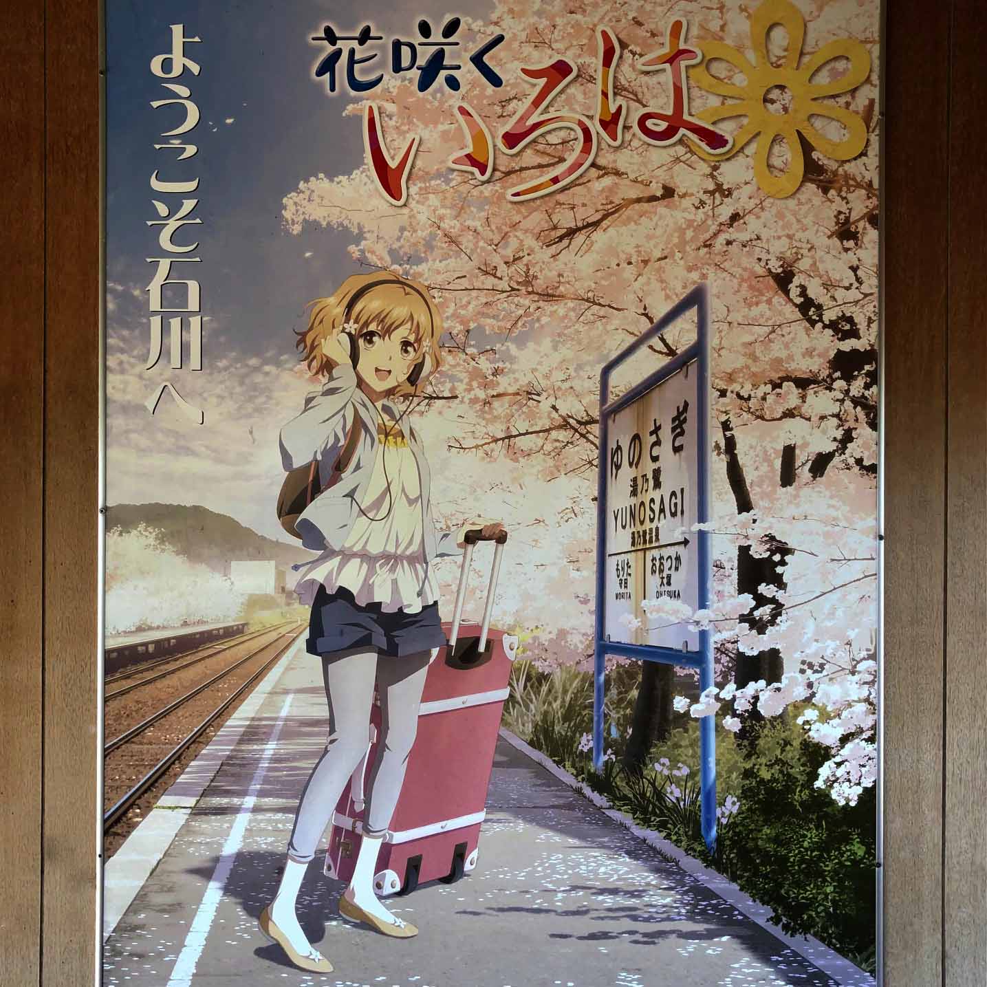 コンテンツの写真